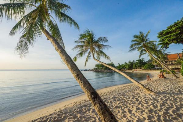 A la foto es mostra l'objecte Samui Paradise Chaweng Beach Resort situat a la ciutat de Chaweng.