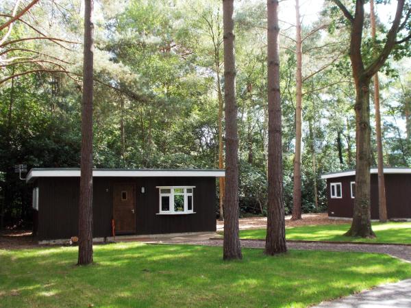 Na fotografii je vidět objekt California Chalet & Touring Park nacházející se ve městě Eversley.