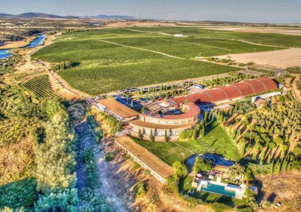 Na fotografii je vidět objekt Hotel Bodega Pago del Vicario nacházející se ve městě Alcolea de Calatrava.