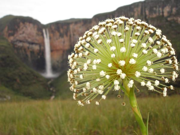 Pousada Tabuleiro Eco - Minas Gerais