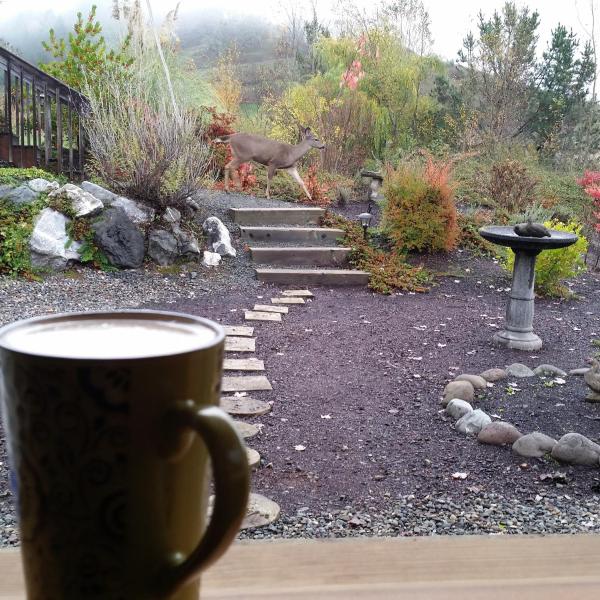 Zdjęcie 8: Charming, Private Cottage in Myrtle Creek