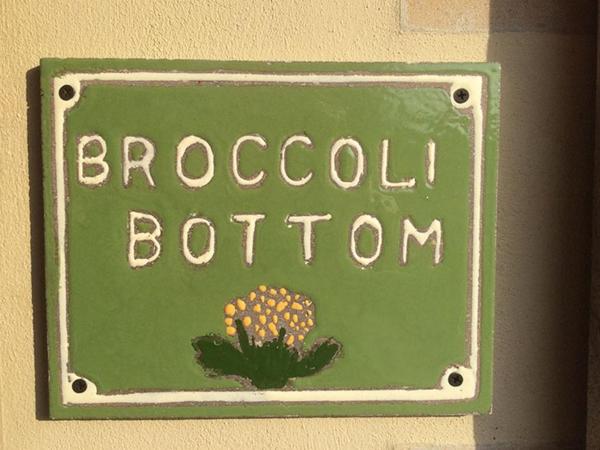 Foto 8: Broccoli Bottom