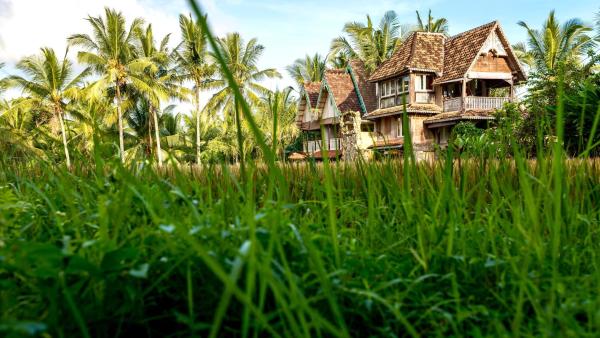 Na foto é possível ver o objeto The Rice Joglo Eco-Stay localizado na cidade de Ubud.