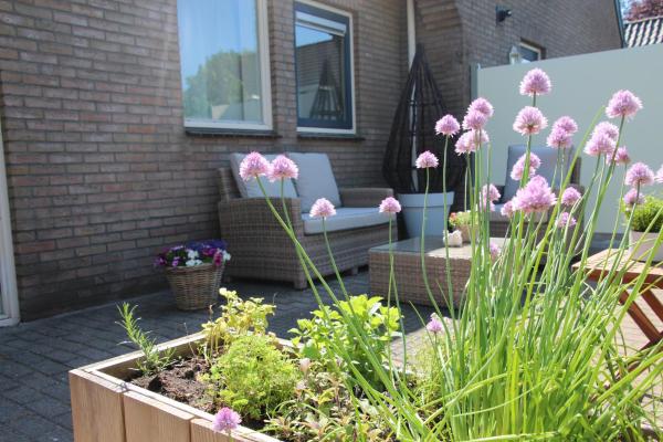 B & B Janneke Elsloo Friesland photo 5