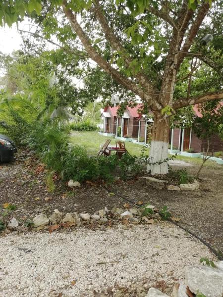 The photo shows the Cabanas chaac calakmul located in the city of Xpujil.