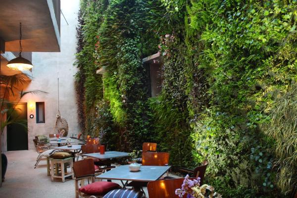 A la foto es mostra l'objecte Kook Hotel Tarifa situat a la ciutat de Tarifa.