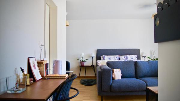 En la foto se muestra el objeto In Swiss Home - Barfüsserplatz BAR street Apartment ubicado en la ciudad de Basilea.