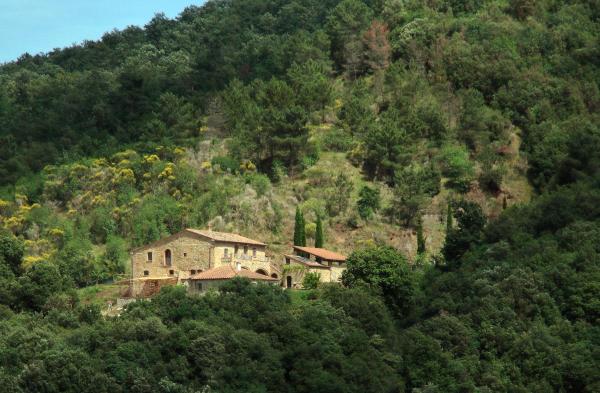 Nella foto è visibile l'oggetto Podere Ripi situato nella città di Sensano.