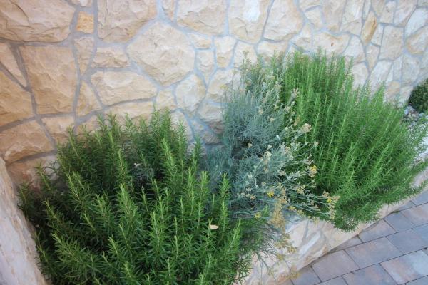 Apartmani Irena - Novi Vinodolski
