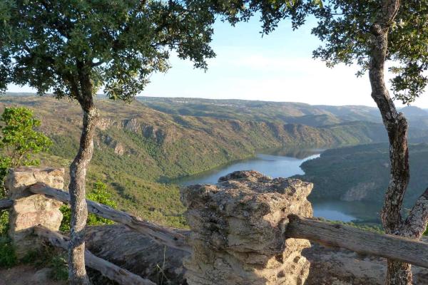 Hostal Arribes del Duero, Fermoselle