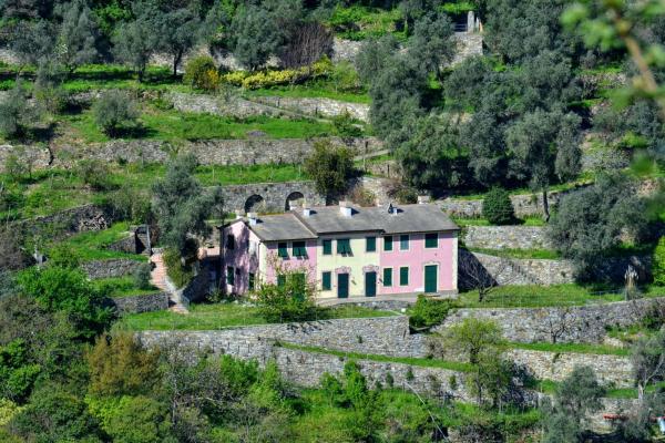 Nella foto è visibile l'oggetto Villa Olivari - apt il Cedro situato nella città di San Rocco.