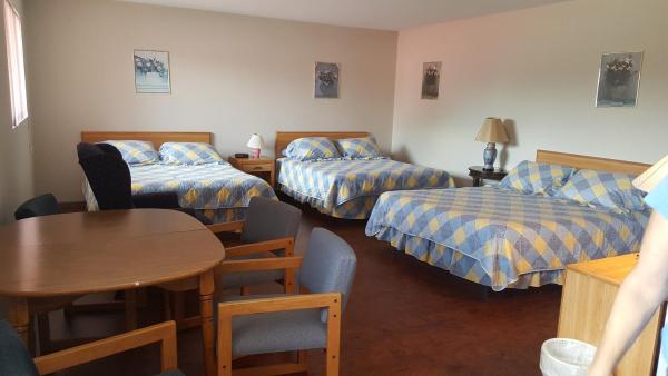 Alpine Motel In Heart Of Wisconsin Dells Downtown. - Wisconsin Dells, WI