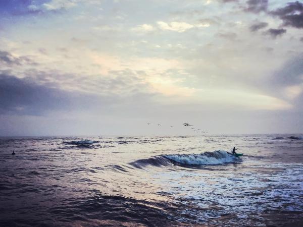 Billede 5: CDM 303 - Sandy Seashore Solace