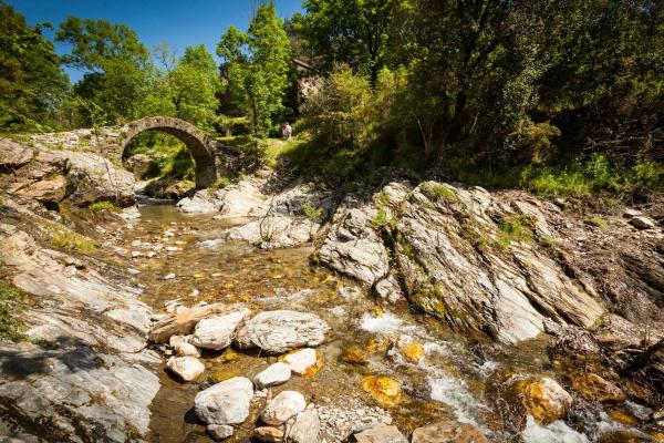 A la foto es mostra l'objecte Transgardon B&B en Cévennes situat a la ciutat de Le Salson.