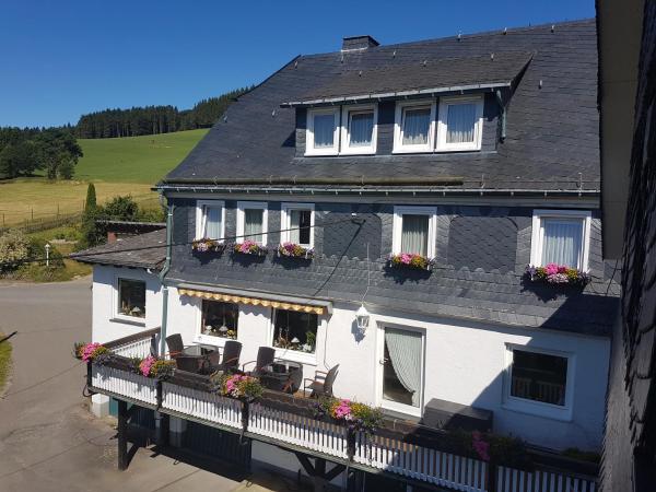 写真にはシュマレンベルク市にあるPension Bergfriedenが写っています。