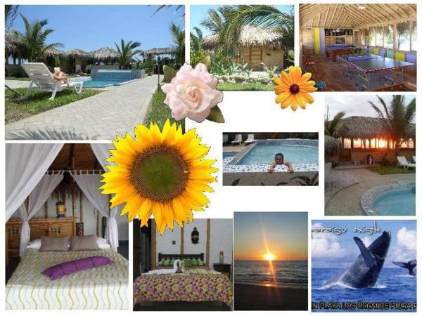 A la foto es mostra l'objecte Bora Bora Bungalows situat a la ciutat de Los Órganos.