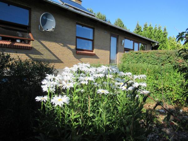 На фото показан объект Æbelø-guidens B&B, расположенный в городе Богенсе.