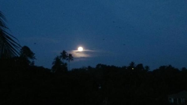 Na fotografii je vidět objekt Riverside Suites nacházející se ve městě Kandy.
