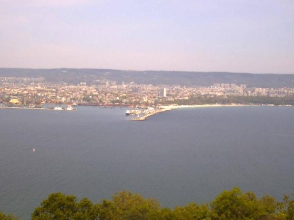 Apartament Zaliva, Warna