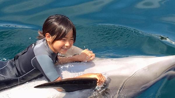 Στη φωτογραφία φαίνεται το αντικείμενο Minshuku Hanamizuki / Vacation STAY 197 που βρίσκεται στην πόλη Saiki.