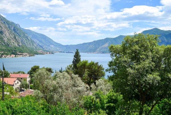 Apartments Vukotic - Kotor