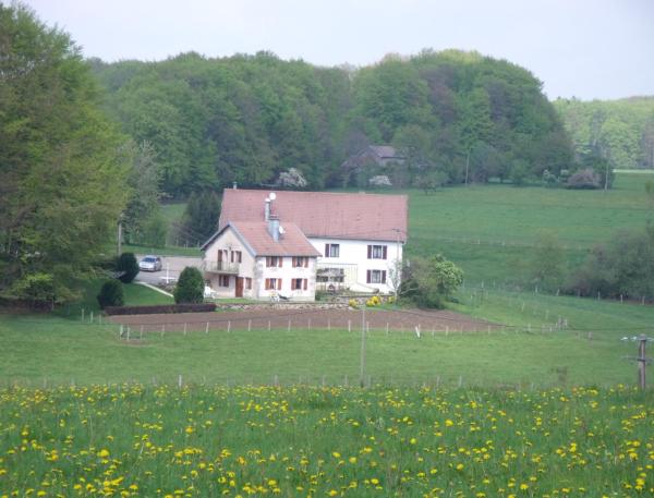 Gîte Les Hirondelles - Vogesen