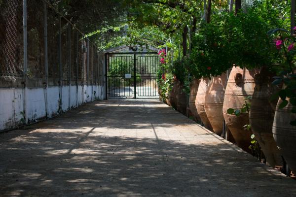 Foto 2: Terre Cretoise