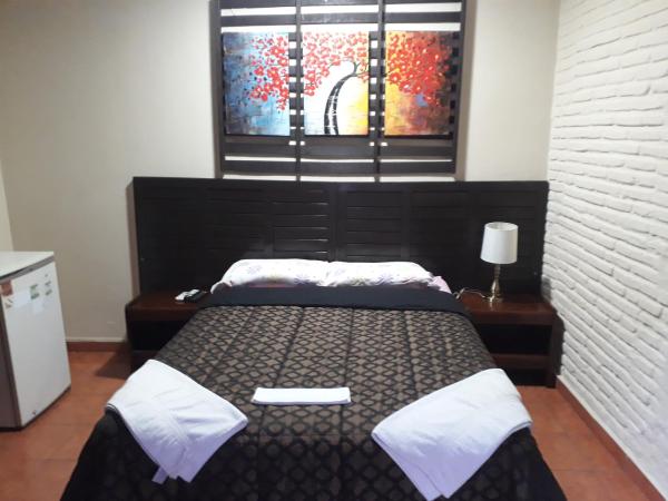The photo shows the Residencia Leones de Castilla located in the city of Asuncion.