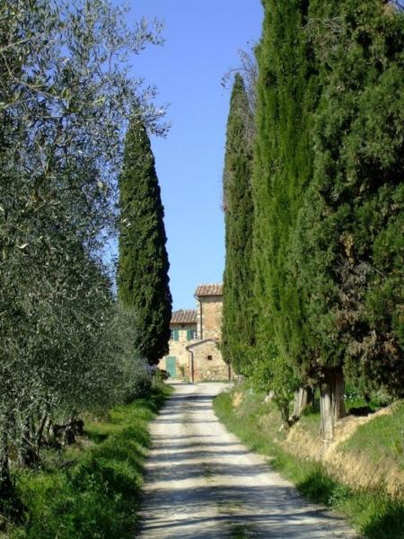 Podere Calcinaia - Rapolano Terme
