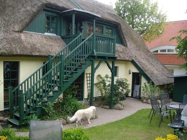 Kuvassa näkyy kohde Schilfdachvilla Zeesboothaus WE308, joka sijaitsee kaupungissa Kleinhagen.