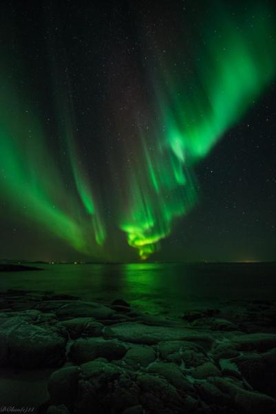 Na zdjęciu widoczny jest obiekt Adventure Senja położony w mieście Dragøya.