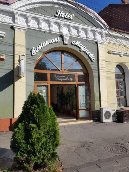 Na fotografii je vidět objekt Hotel Magnolia nacházející se ve městě Teiuş.