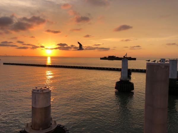 Foto 4: CDM 351 - Serendipity Sunrise