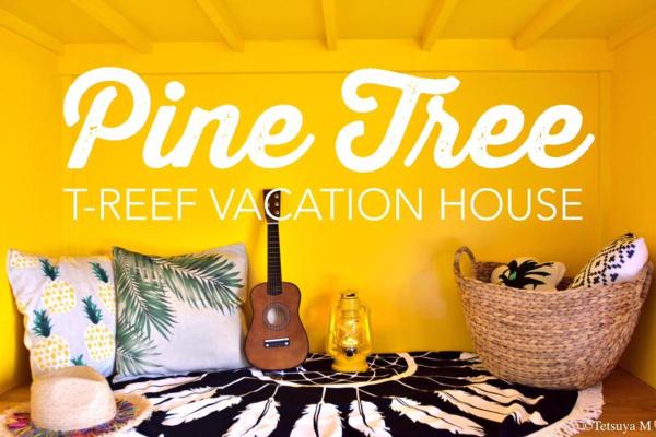 Апартаменты — 27 m² - Pine Tree