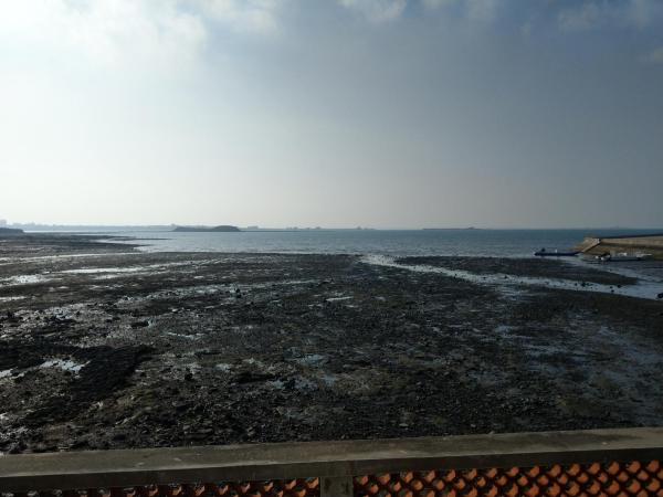 Billede 8: 海角203民宿