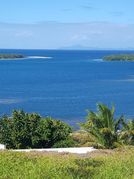 Nella foto è visibile l'oggetto Faré Mahi Mahi situato nella città di Uturoa.