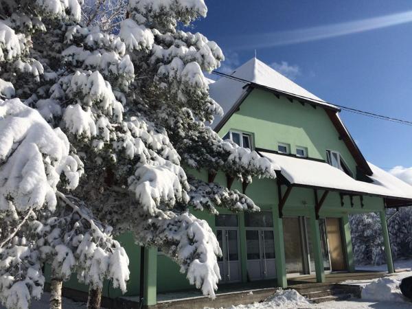 A la foto es mostra l'objecte Vila Premijer Divčibare situat a la ciutat de Divčibare.
