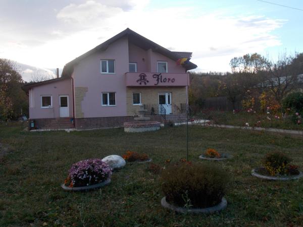 The photo shows the Casa Floro located in the city of Ciobănuş.