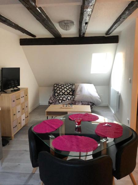 Foto 8: Duplex Hyper centre colmar
