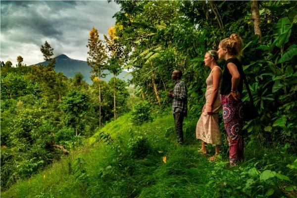 Na fotografii je vidět objekt Banana Farm Eco Hostel nacházející se ve městě Arusha.
