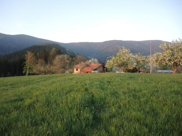 Zdjęcie 8: Razborca