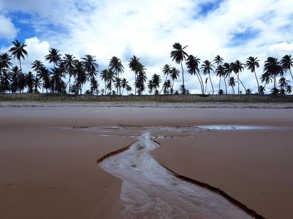 A la foto es mostra l'objecte Rosagash Paradise - Praia de Santo Antonio situat a la ciutat de Diogo.
