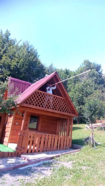 Photo 6 : Трембіта