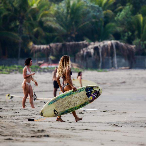 Photo 7 : Tapas & Surf