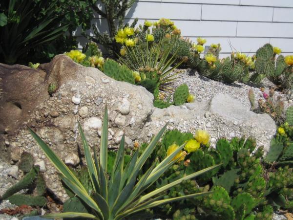 Bed & Breakfast photo 5