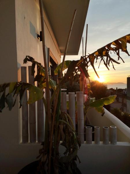 På billedet ses objektet B&b Villa Rosalia beliggende i byen Procida.