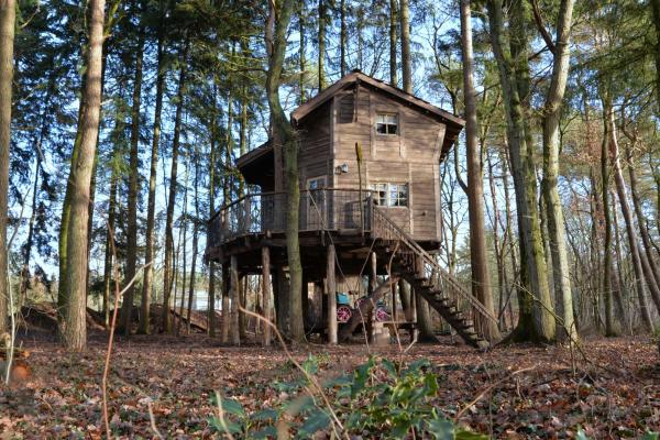 写真にはボルゲル市にあるBoomhut Drouwenerzandが写っています。