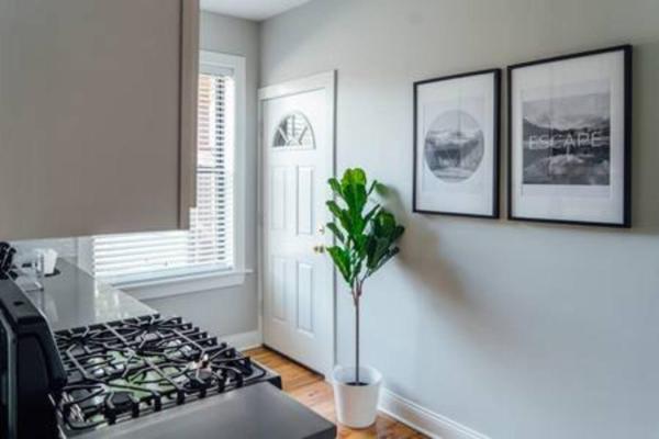 Fotografie 3: Convenient & Newly Decorated 1BR Apartment - Roscoe 1D