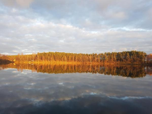 На фото показан объект Agro Breza domek nad samym jeziorem- sauna ogrodowa, расположенный в городе Lipuska Huta.