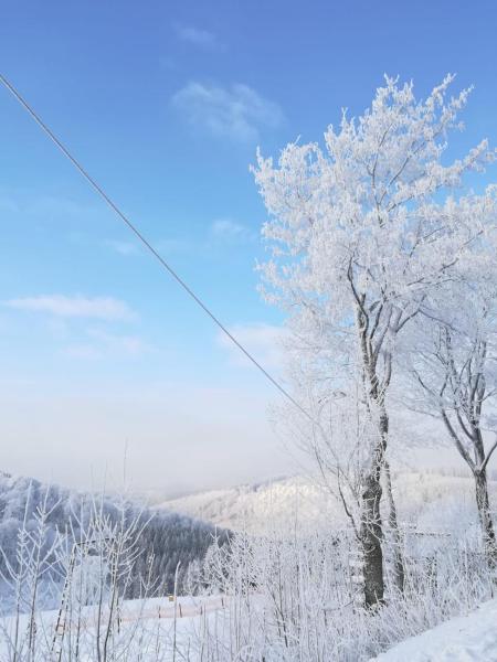 Na fotografii je vidět objekt Haus Schneider nacházející se ve městě Winterberg.